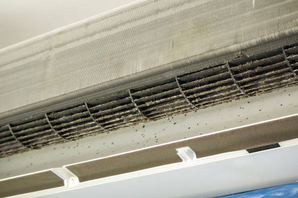 Air Duct Mold Removal in MA